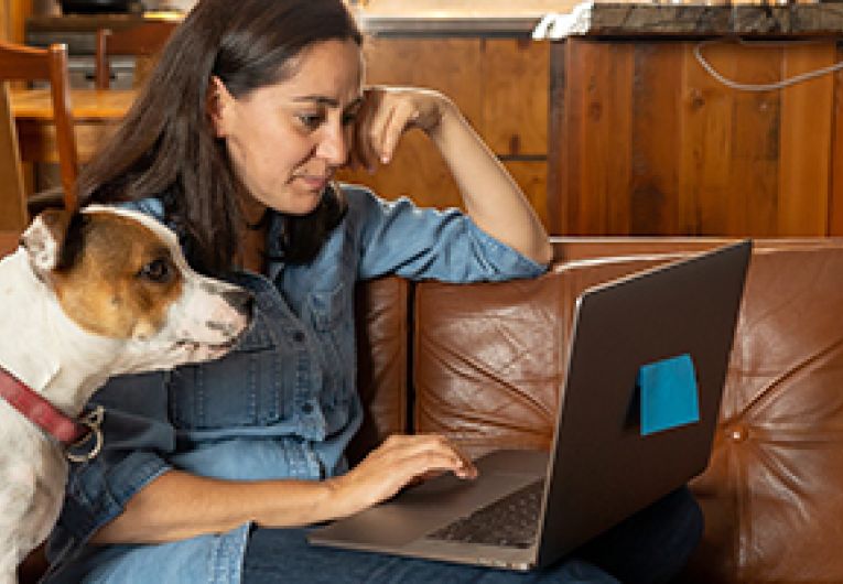 A person sitting on a brown couch with a dog looking at a laptop.