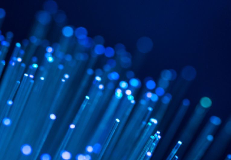 Fiber